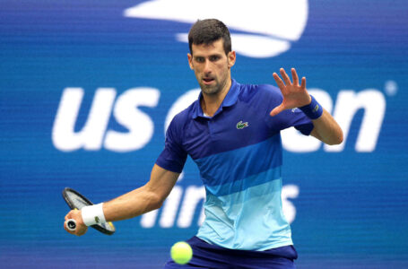 Novak Djokovic estará en las finales de la Copa Davis