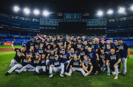 Yankees, campeones de su División